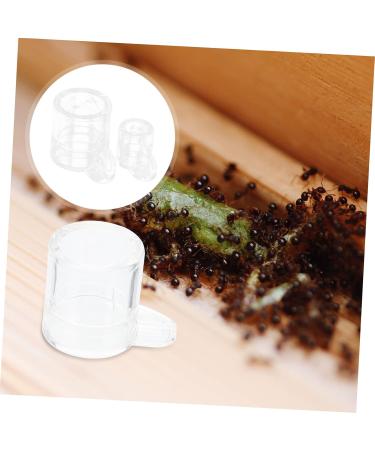 Frcolor 4-Pack Ant Water Feeding Device | Terrarium Accessories & Gift Ideas for Ant Lovers - Buy Online on SooperMarket.com