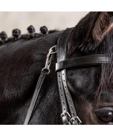 Shop Sunride English Combined Bridle Berlin with Reins - Soft Real Leather Adjustable & Anatomical for Ponies - Black - Buy Online on SooperMarket.com