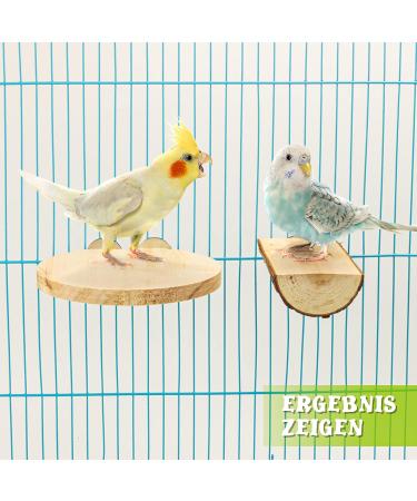 Reyshin Bird Seating Board Set - 4 Pieces Bird Playground Accessories with 5 Rat Balls for Budgies Canaries and Lovebirds - Ideal Bird Cage Toys - Buy Online on SooperMarket.com