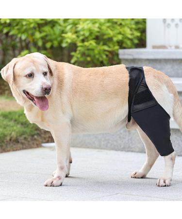 Dog Knee Brace Adjustable Dog Rear Leg Brace Soft Breathable Dog Knee Support Brace for Elderly Disabled Injured Dogs Both Back and Front Legs (S) - Buy Online on SooperMarket.com