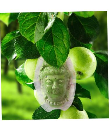 BCOATH Forming Vegetable Tool Clear Gardener Ginseng for Decorative Watermelon Transparent - Buy Online on SooperMarket.com
