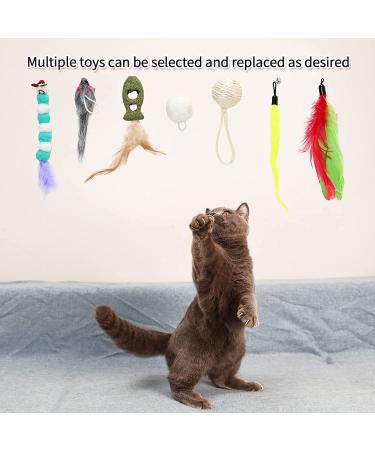CZPET Cat Toys Set - Interactive Kitten Exercise Toys with Replaceable Door, Cat Teaser Stick, Puzzle Toys, Catnip Feather, and Mouse Toys - 9PCS - Buy Online on SooperMarket.com