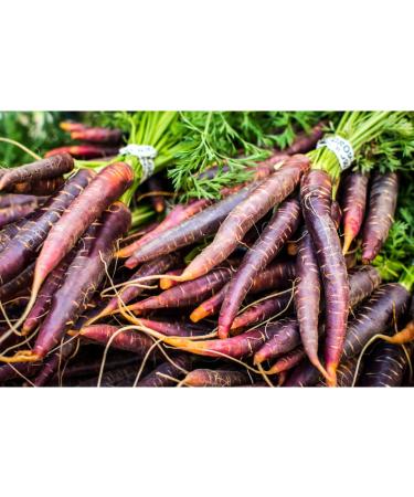 Buy Fresh Edible Carrots | Colorful Purple Carrots - 1.00 KG - International Shipping Available - Buy Online on SooperMarket.com