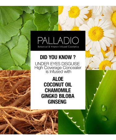Palladio Under Eyes Disguise Full Coverage Concealer - Green Tea 0.35 oz - Buy Online on SooperMarket.com