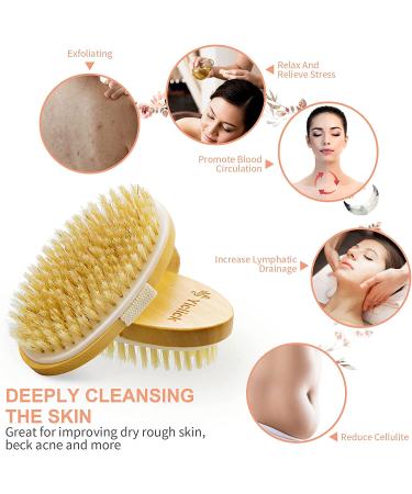 2 Pack Exfoliating Dry Brushes for Cellulite & Lymphatic Drainage - Body Scrub Set with Natural Bristles & Massage Nodules - Buy Online on SooperMarket.com