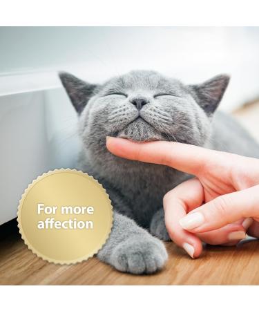 Felisept Home Comfort Cat Calming Refill 3 x 45ml - Natural Catnip Formula - Stress Relief & Behavior Control - Cat Plug-In Calmer - Buy Online on SooperMarket.com