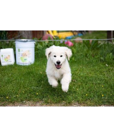 SONNENMOOR Liquid Moor for Dogs 500ml Natural Support for Pets | International Shipping Available - Buy Online on SooperMarket.com