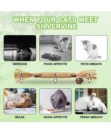 AGYM Cat Silvervine Stick Toy Set - Natural Chew Toys for Cats | Promotes Dental Health, Relaxation, and Digestion | Non-Addictive and Safe | 4 Pack - Buy Online on SooperMarket.com