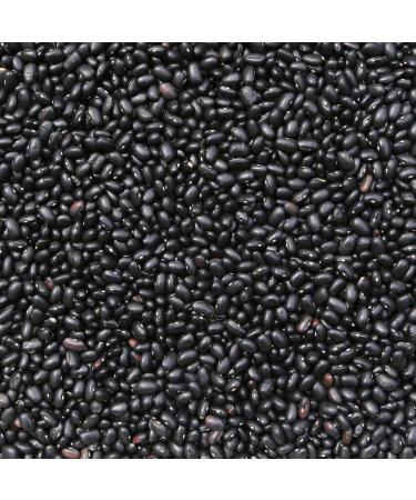 Wholefood Earth Organic Black Turtle Beans 2kg - GMO Free, Vegan, High Fibre & Protein | Certified Organic - Buy Online on SooperMarket.com
