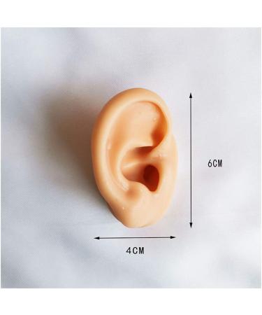 Soft Silicone Ear Sale for Teaching - Silicone Ear Template for Acupuncture - Simulation Silicone Ear Template for Practice - Buy Online on SooperMarket.com