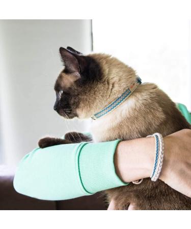 Pettsie Cat Kitten Collar - Breakaway Safety & Friendship Bracelet - Durable 100% Cotton - Adjustable with D-Ring - Blue - Gift Box Included - Buy Online on SooperMarket.com