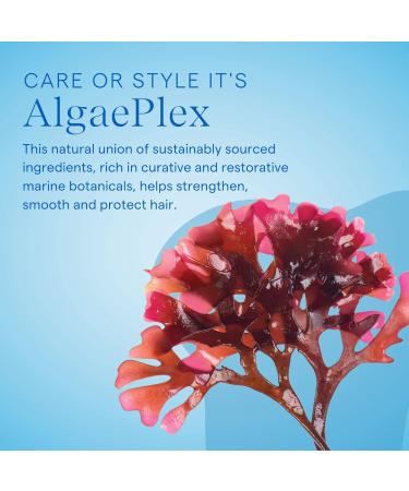 Aquage Thickening Spraygel Firm-Hold Styling Spray with Ultraflex Polymer Technology Thickens & Strengthens Fine Thin Hair That Lacks Body & Vitality Floral - Consciously Crafted 8 Fl Oz (Pack of 1) - Buy Online on SooperMarket.com