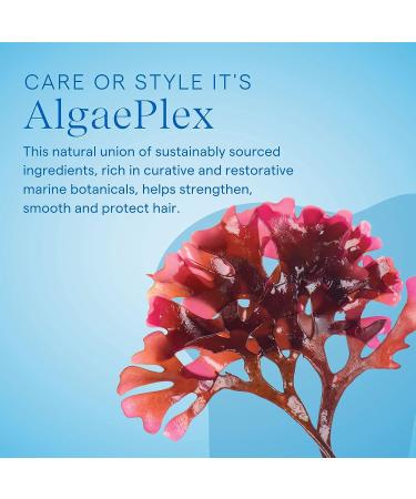 AQUAGE Color Protecting Shampoo 33.8 oz | AlgaePlex Marine Botanicals for Color Seal & Gentle Cleansing - Buy Online on SooperMarket.com