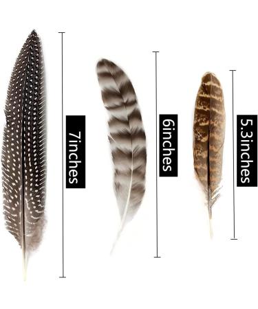30Pcs Natural Turkey Spotted Feathers for DIY Crafts and Decor - 6-8 inch (3 Styles) - Buy Online on SooperMarket.com