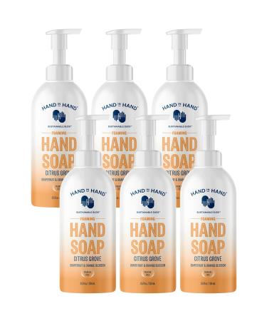 Hand in Hand Nourishing Foaming Hand Soap 8.5 Oz Grapefruit & Orange Blossom Citrus Grove Scent 6 Pack Citrus Grove 8.5 Fl Oz (Pack of 6)