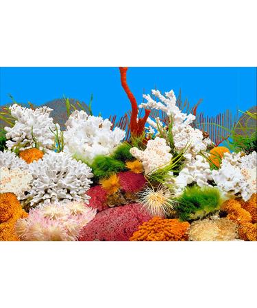 ELEBOX 20x48 Fish Tank Background - 2 Sided River Bed & Lake Aquarium Decor - H 19.5 x L 48 - Premium Quality - Buy Online on SooperMarket.com