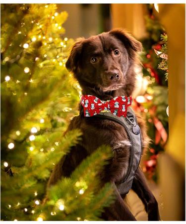 Shop Lionheart Glory Christmas Dog Halison - Adjustable Soft Penguin Fly Collar for Large Dogs - Perfect Holiday Gift! - Buy Online on SooperMarket.com