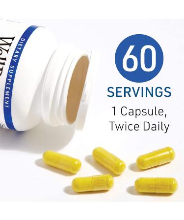 Natural Factors WellBetX Berberine 500 mg - 60 Vegetarian Capsules for Blood Sugar Support - Buy Online on SooperMarket.com