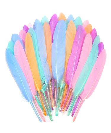 FeelfunFeather 240pcs Macaron Goose Cochettes Feather 4-6 inch 10-15cm Bulk Natural for Wedding Party Halloween Decorations DIY Cosplay Gothic Costumes Crafts Goose Cochettes Feather