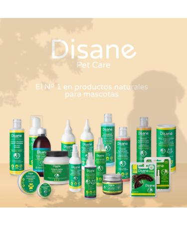 DISANE Natural Dog Conditioner Shampoo for Curly-Haired Dogs with Avocado Oil 250ml | Nourishing & Repairing Coat, Prevents Frizz, Enhances Curls - Buy Online on SooperMarket.com