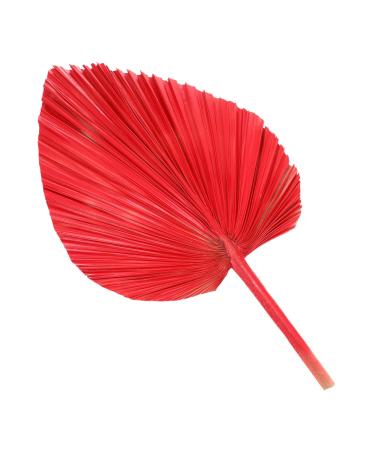 Alipis Simulated Cattail Fan Wedding Layout Palm Leaf Dried Palm Spears Home D cor Vase Art Ornament Faux Plant Italian Ruscus Woven Hand Held Fan Decor Fans Palm Leaves Hamster Monstera Red 50x28cm