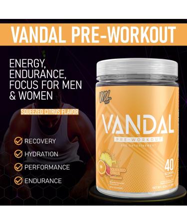 Vandal | Pre Workout Powder - Safe Nootropic Pre Workout Supplement for Men & Women | Boosts Energy Focus Performance & Recovery | Nitric Oxide Booster for Blood Flow | 40 Servings (Squeezed Citrus) - Buy Online on SooperMarket.com