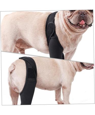CORHAD Dog Leg Braces for Hindleg Comfortable Dog Knee Dog Back Leg Protector Puppy Pet Mesh Fabric Care M As Shown - Buy Online on SooperMarket.com