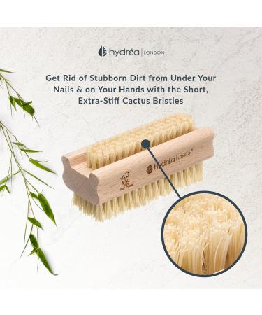 Hydrea Extra Robust Wooden Nail Brush Set - Firm Cactus Bristles | 2 Pieces | International Shipping Available - Buy Online on SooperMarket.com