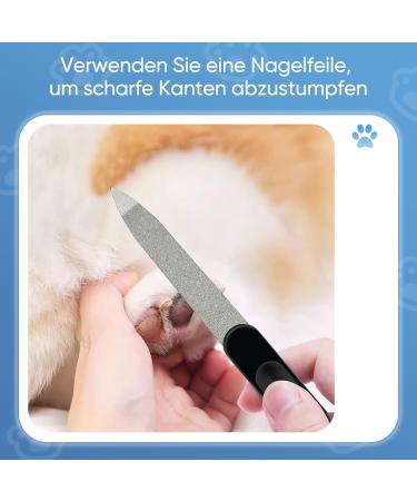 HOMJOY Professional Pet Nail Scissors & Files - Stainless Steel Nail Clippers for Dogs Cats Guinea Pigs - Safe & Durable Blue - Buy Online on SooperMarket.com