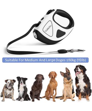 Buy Cemeow 5m Extendable Dog Leash with Flashlight & Safety Brake | Ergonomic Design for All Dog Sizes - Buy Online on SooperMarket.com