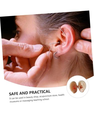Silicone Ear Models for Practice - 1 Pair Ear Picking & Display Samples - Buy Online on SooperMarket.com