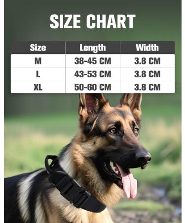 Joyal Tactical Dog Collar - Heavy-Duty Handle for Medium Dogs | QR Code Dog Brand | Black M Size - Buy Online on SooperMarket.com