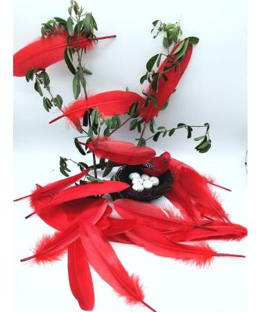 100pcs Red Goose Feathers 6-8 Inch - Ideal for Crafts, Wedding Decor, Clothing Accessories - Buy Online on SooperMarket.com