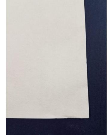 Masa White Printmaking Paper- 21x31 Inch (Five Sheets)
