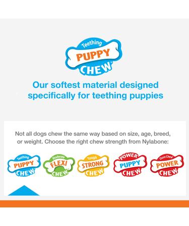 Nylabone Puppy Chew Toys for Teething Puppies | Small/Regular - Pink Bone Lamb & Apple (3 Count) - Buy Online on SooperMarket.com