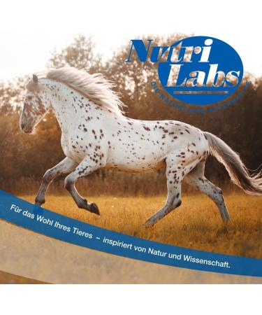 Nutrilabs Hoof Support Pellets 3 KG - Premium Dietary Supplement for Horse Hoof Care with Biotin & MSM | Enhance Equine Health - Buy Online on SooperMarket.com