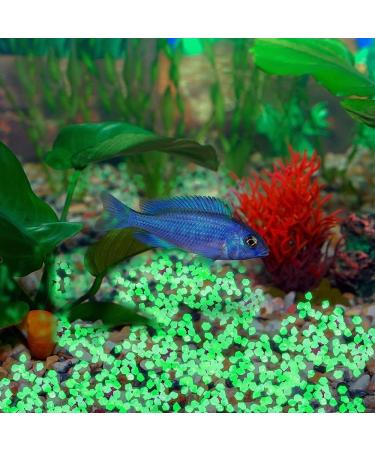 300 Colorful Fluorescent Stones - Bright Garden Pebbles for Walkways Aquariums & Lawn Decoration (Green 17x13mm) - Buy Online on SooperMarket.com