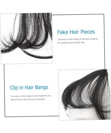 Didiseaon Piece Hair Clips for Women Hat Wigs for Women Braided Hair Clips Dark Brown Hair Extensions Hair Extensions Real Human Hair Clip on Fringe Hair Toppers for Women Xuchang Miss Bangs medium Black - Buy Online on SooperMarket.com