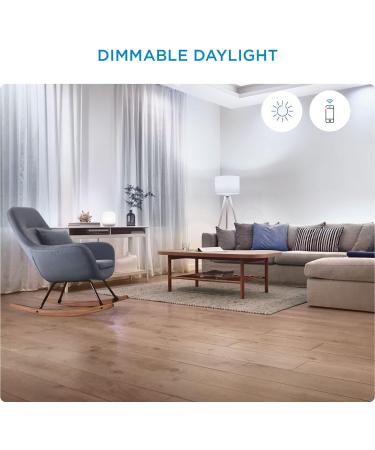 WiZ Connected 3-Pack Daylight High Lumen 100W A21 Smart WiFi Light Bulb Dimmable 5000K Compatible with Alexa and Google Home Assistant No Hub Required 3 Bulbs A21 Daylight (5000k) 3 Count (Pack of 1) - Buy Online on SooperMarket.com