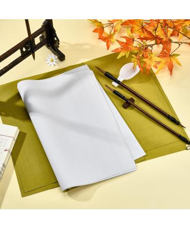 PandaHall 14pcs Chinese Calligraphy Set with Reusable Water Writing Cloth - Traditional Brushes for Beginners Practice | 17x13 White - Buy Online on SooperMarket.com