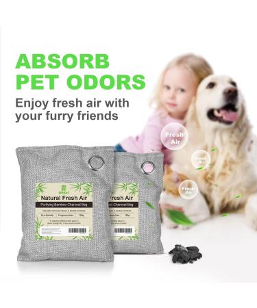 10 Pack Bamboo Charcoal Air Purifying Bags - Activated Charcoal Odor Absorber & Moisture Eliminator - For Car, Closet, Shoe Room, Large Room, Pet Room - 10x100g - Buy Online on SooperMarket.com
