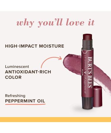 Burt's Bees Lip Shimmer Plum 2.55g - 100% Natural Origin with Peppermint Oil - Moisturizing Lip Shimmer, Single Pack - Buy Online on SooperMarket.com
