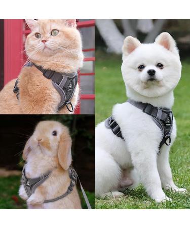 Fineasy Adjustable Cat Leash & Dish Set - Safe Cat Harness for Cats & Kittens - Grey Small - Buy Online on SooperMarket.com