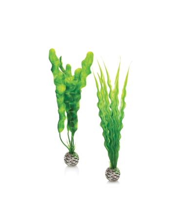 biOrb 46056 Plant Set green M Green Medium