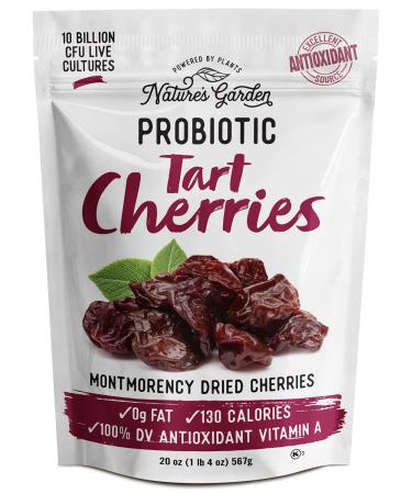 Nature's Garden Probiotic Tart Cherries - Probiotic Dried Fruit Snack, Montmorency Dried Cherries, Antioxidant Rich, Live Cultures, Vegan, Sugar-Free Snack – Bulk 20 oz Bag (Pack of 1) Probiotic Tart Cherries 20 Ounce (Pac…