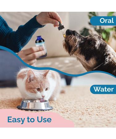 Prana Pets Respiratory Support Formula for Dogs and Cats - Promotes Optimal Respiratory Function - 1 Pack - Buy Online on SooperMarket.com