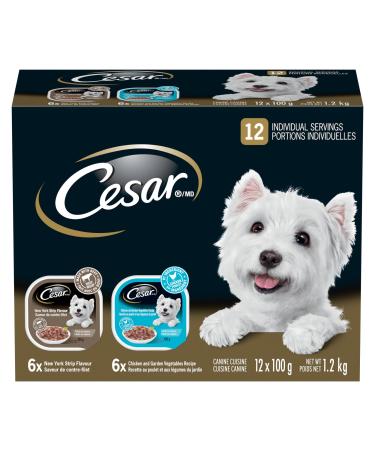 CESAR Filets in Sauce Wet Dog Food - 6 New York Strip Flavour and 6 Chicken & Garden Vegetable 12x100g NY Strip - Chicken & Vegetable 100 g (Pack of 12)