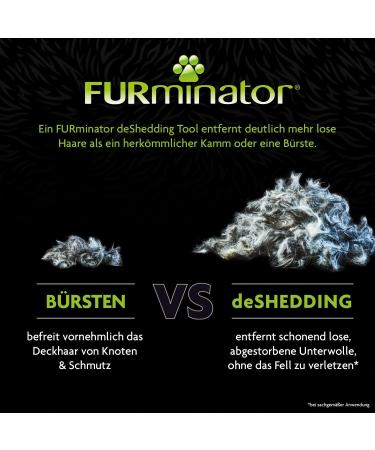 Furminator Deshedding Tool for Medium & Large Short-Haired Cats - Enhanced Cat Brush for Undercoat Removal 2.0 - Buy Online on SooperMarket.com
