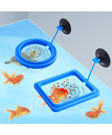 Molain Fish Feeding Ring 2 Pieces Fish Feeder Aquarium Fish Turtle Tank Accessories Food Feeder Circle For Guppy Bettas goldfish Turtle (Blue) - Buy Online on SooperMarket.com