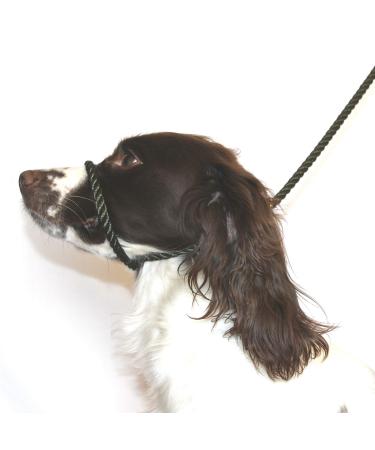 Dog & Field Figure 8 Anti-Pull Lead/Halter/Head Collar/Harness (Olive Green)